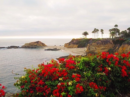 Cloudy beach shot with bush of red flowers in front in California